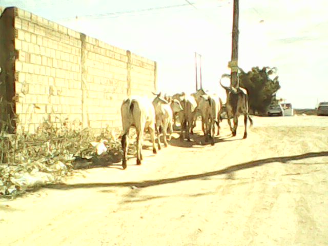 02d42acf3eedbcacb1eb68530d4d953a