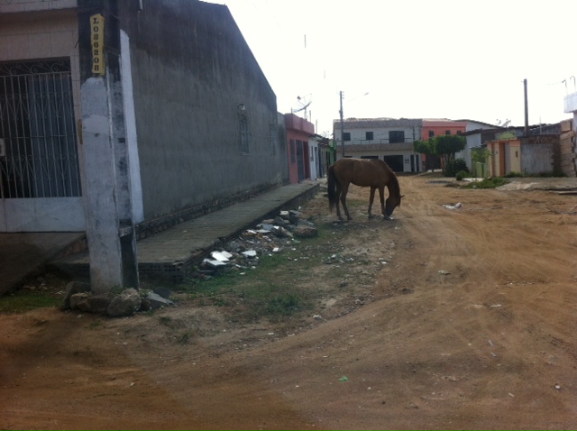 04217e2f454d7a1bf12ec3fcfce53d7a