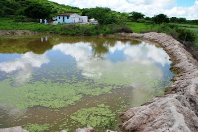 09-04-08_Manari-PE 026