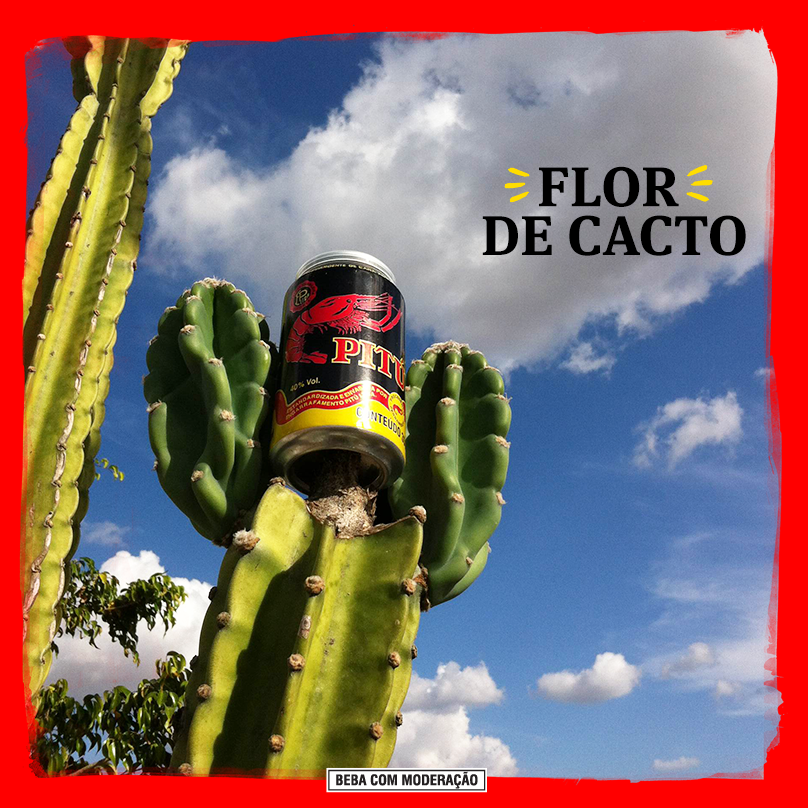 10676123_986593894694315_1026080795779735430_n