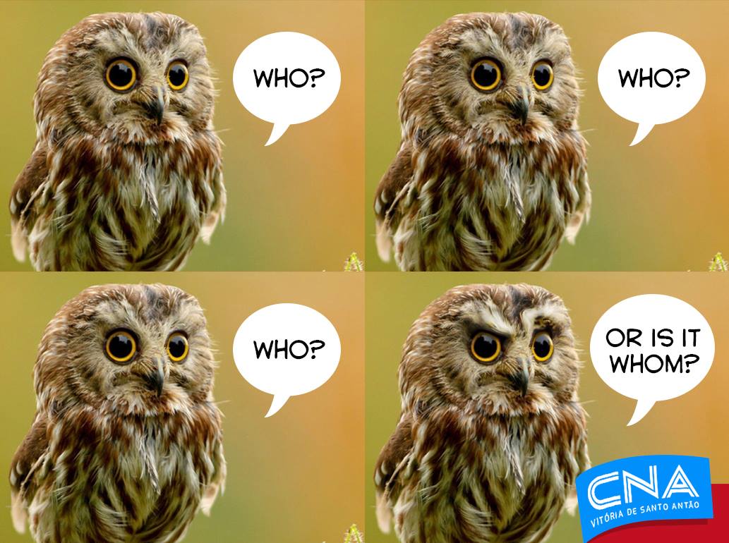 10830923_676487202469623_6641984870245461024_o (1)