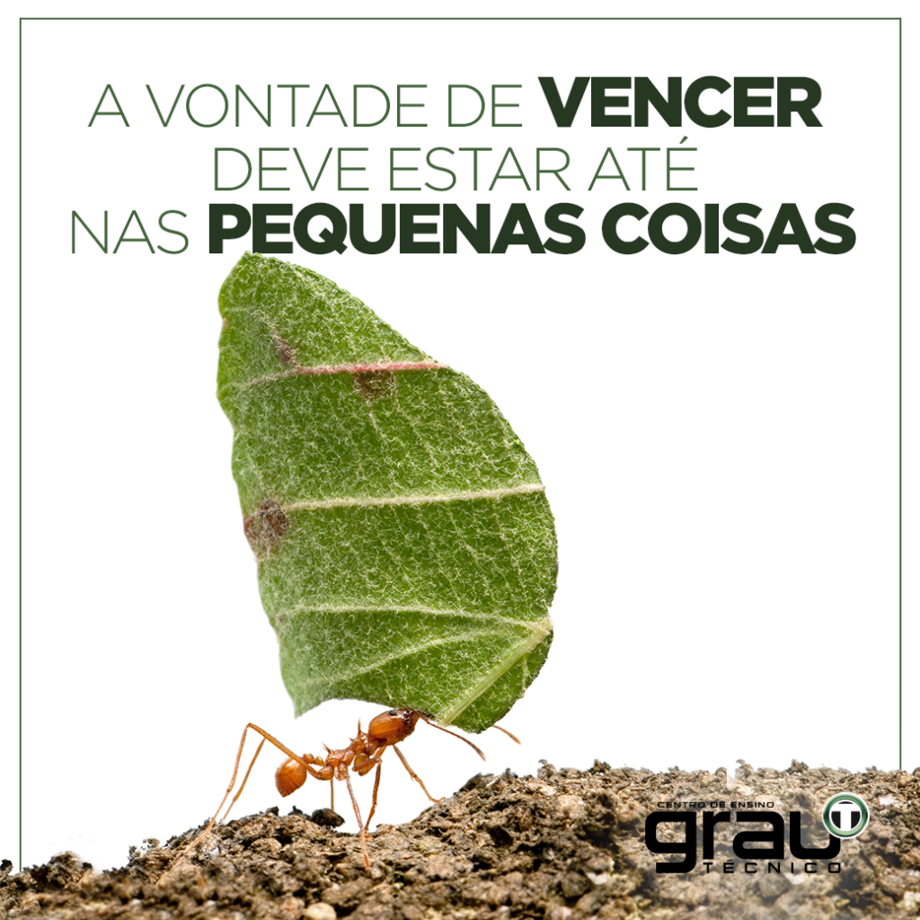 12238028_932910200090202_8066434605993239792_o