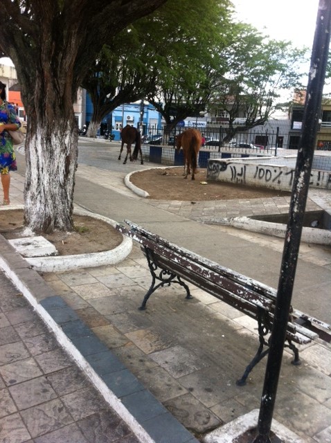 162618b5ca087714e5a0eee8012b6a2b