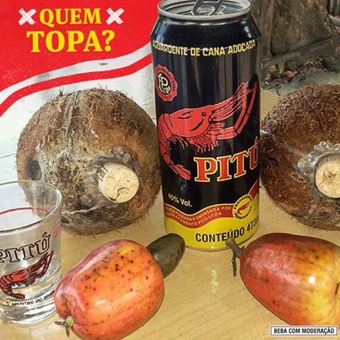 13240622_1135090669844636_624151621749123594_n