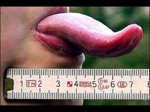 13325503_940101272778997_18981180968421297_n