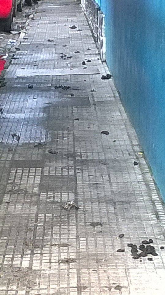 13535846_1036294176423971_1166439650_n