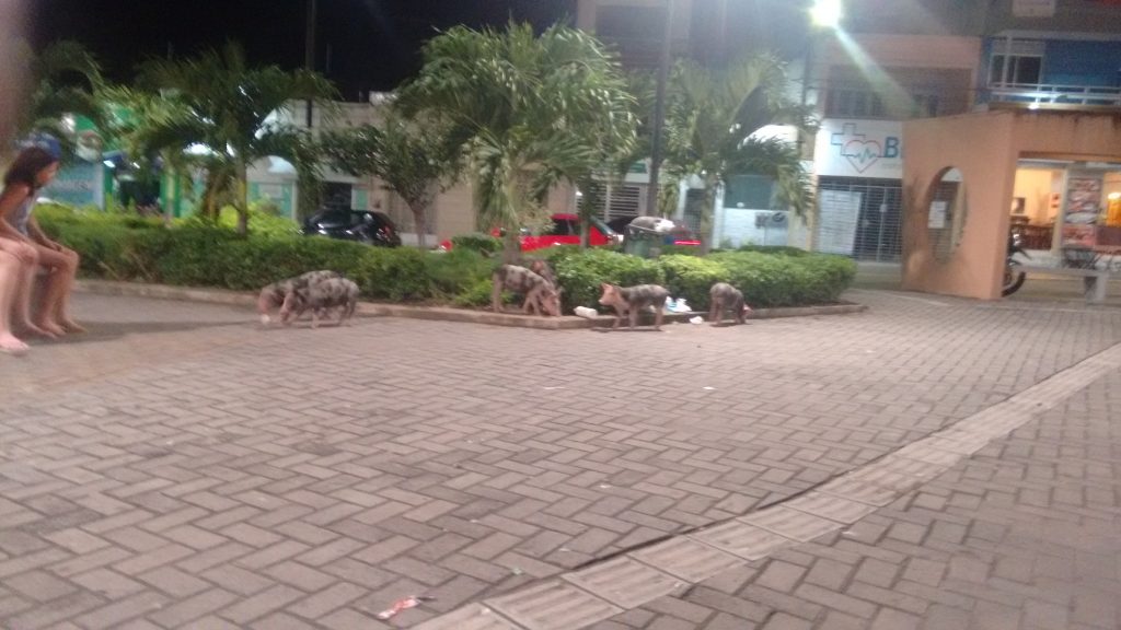 IMG_20160531_220122825