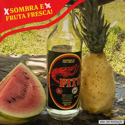 13612135_1153605597993143_8626836735910360976_n