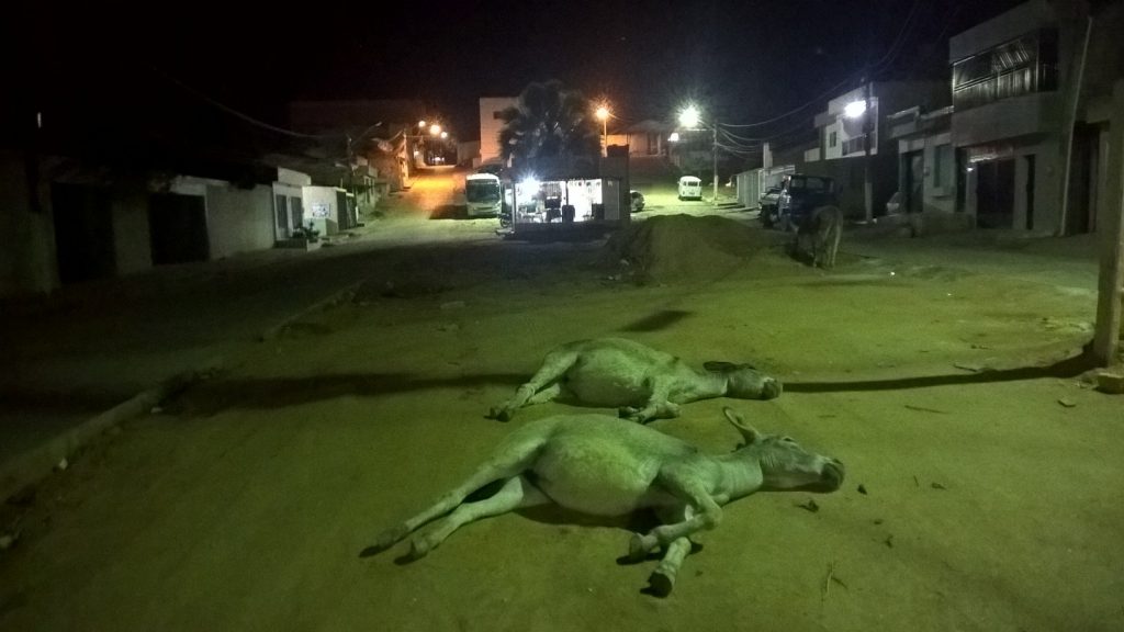 WP_20160629_21_22_06_Pro