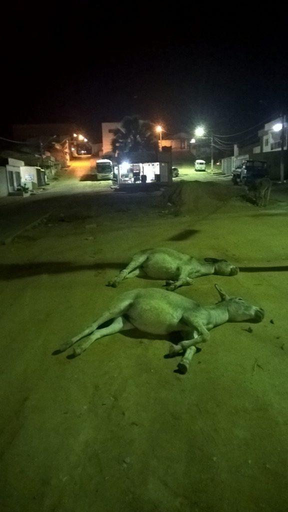 WP_20160629_21_22_12_Pro