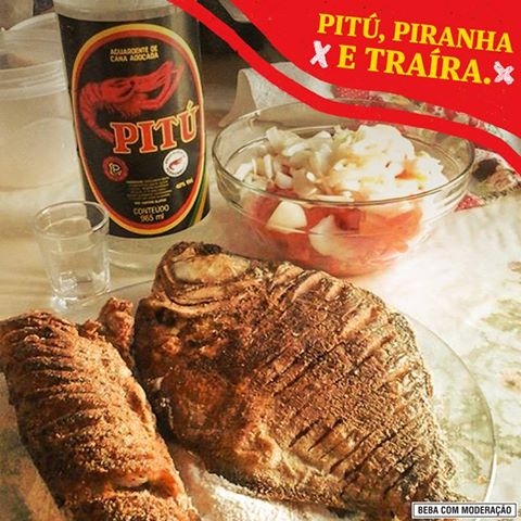 13680823_1171392659547770_480385791595586582_n