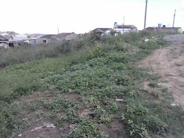 812488097b6afac44d913a9c6d6e2f8c. da rua 15