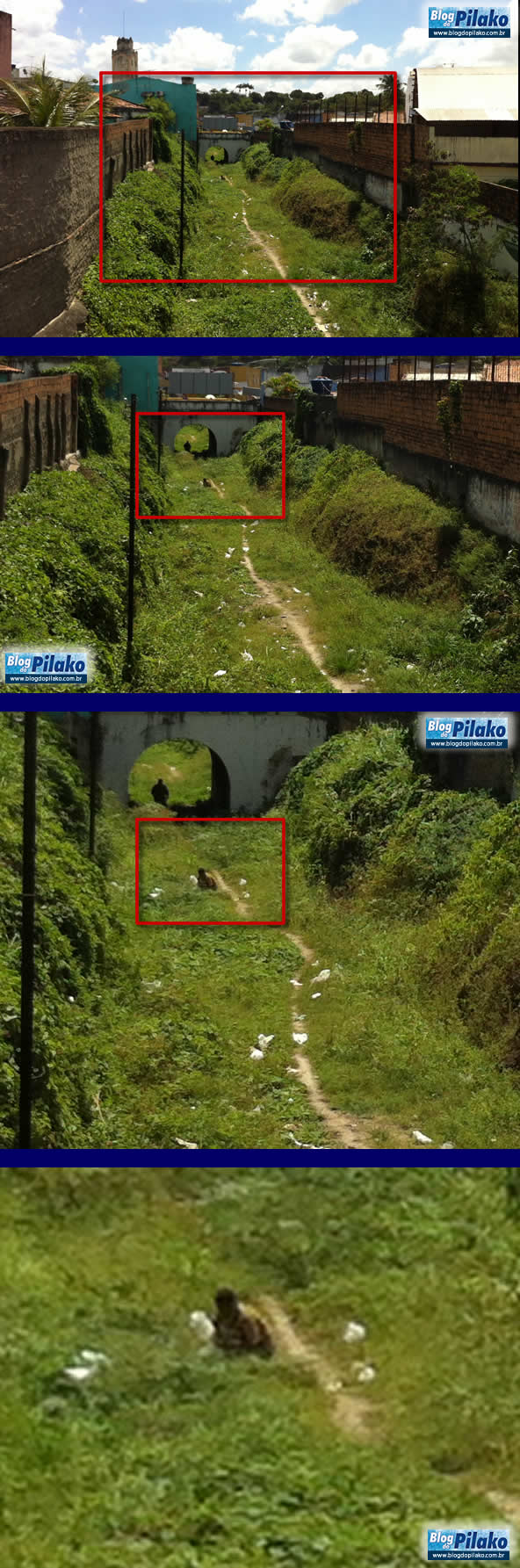 CAGADA-NO-CENTRO-29-08-12