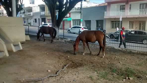 IMG_20150515_073608981_HDR