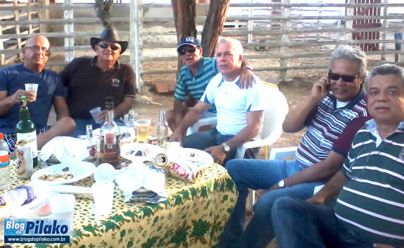 amigos-haras-gravata