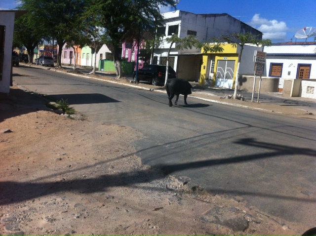 c611fa36dbc66c98e41c24313023181b