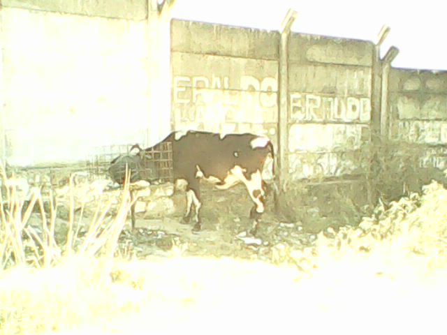 d25cb512dcf8f8682918b99d21506a4e