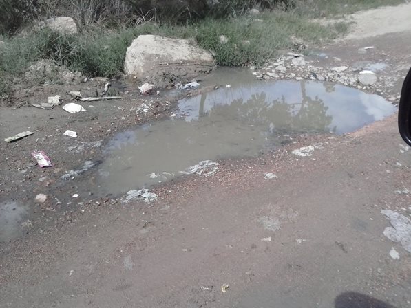 ff5679394d7c69d7a2f5af2e2aaee0b7