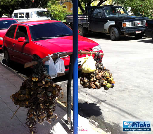 franquia-do-caranguejo-30-05-12