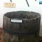 instituto (31)