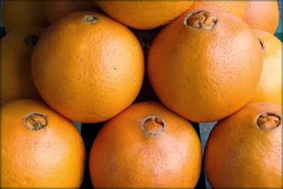 laranja_umbigo_bahia