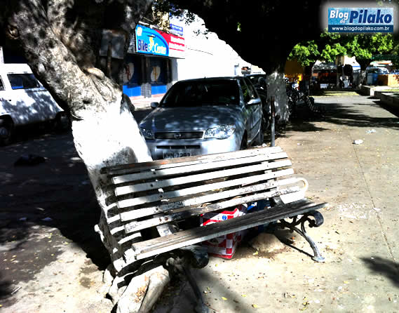 leao-coroado-02-05_depredada1