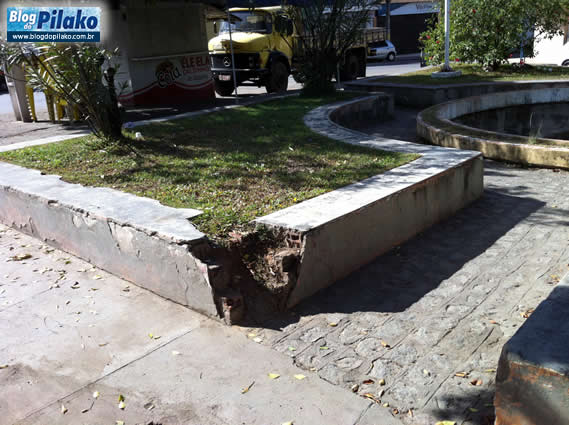 leao-coroado-02-05_depredada4