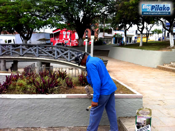 praca-dengue-07-08-12