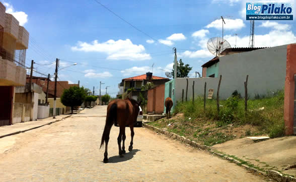 silvino-lopes-03-nov-12